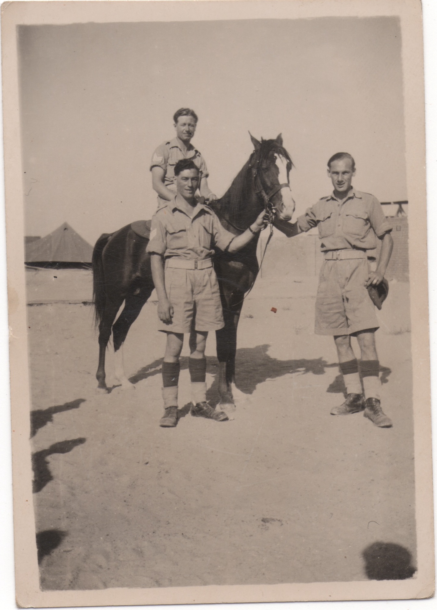 Three British soldiers and a horse in the Suez Canal Zone